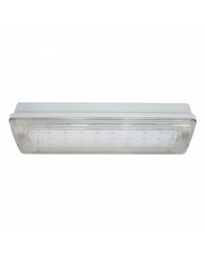 SL-213-30LED1.8 исп.1 IP54. Светильник аварийного освещения. ИП Раченков А.В. в Великом Новгороде