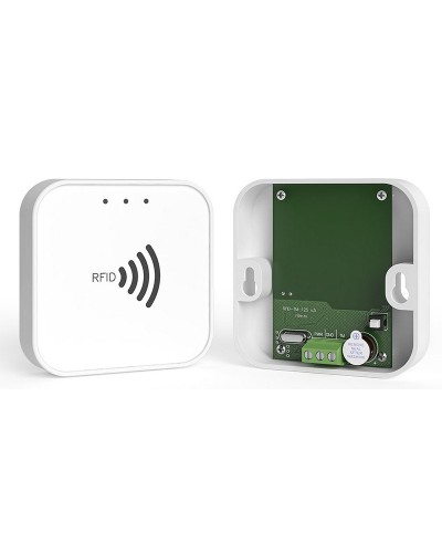 RFID-TM. Считыватель RFID. Ритм в Великом Новгороде